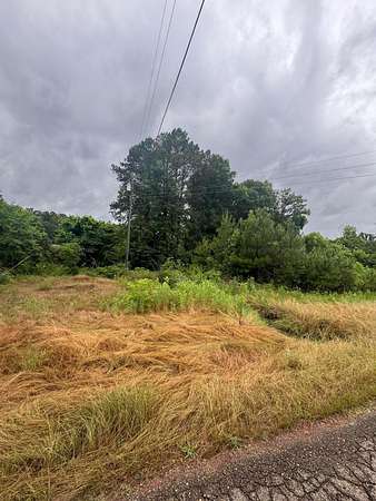 0.93 Acres of Land for Sale in Cordova, Alabama