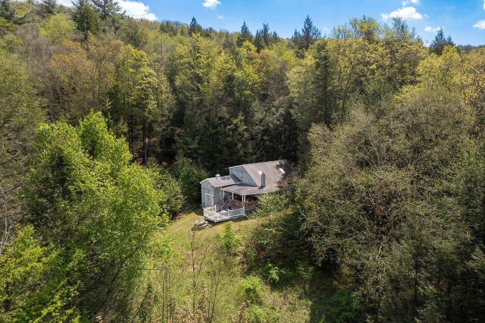 20 Acres of Recreational Land with Home for Sale in Deposit, New York