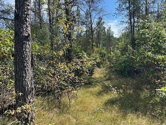 36.3 Acres of Recreational & Residential Land for Sale in Necedah, Wisconsin