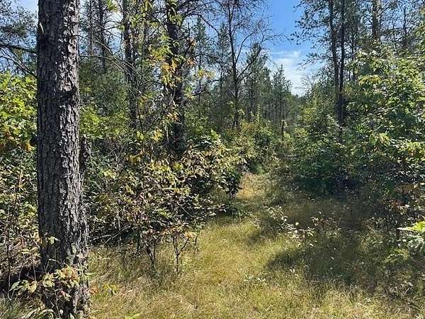 36.3 Acres of Recreational & Residential Land for Sale in Necedah, Wisconsin