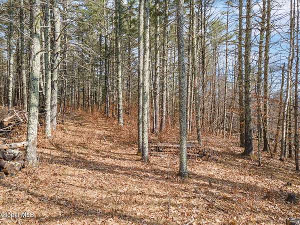 8.3 Acres of Land for Sale in Blenheim Town, New York