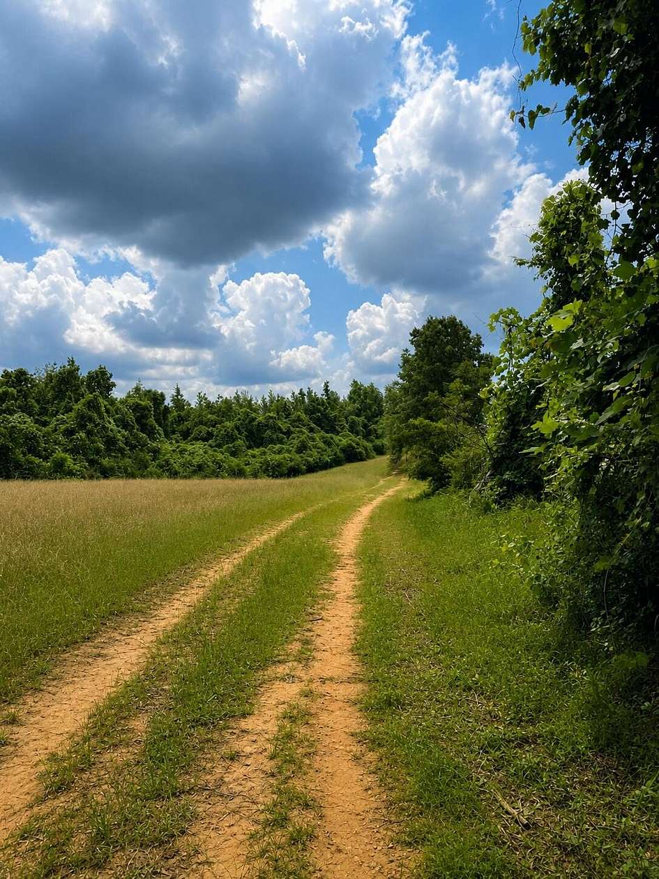 Land for Sale in Detroit, Alabama
