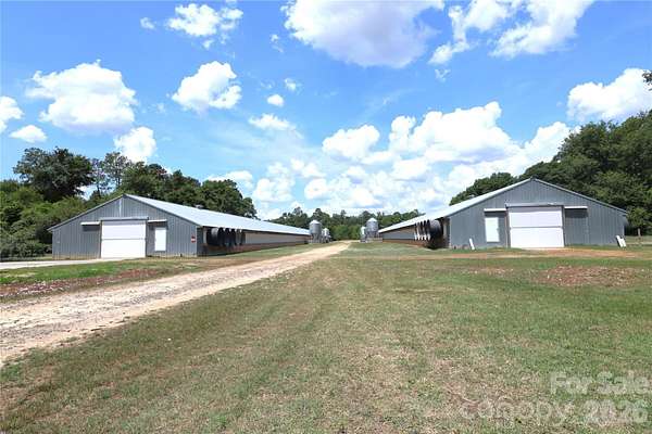 8.55 Acres of Residential Land for Sale in Blackville, South Carolina