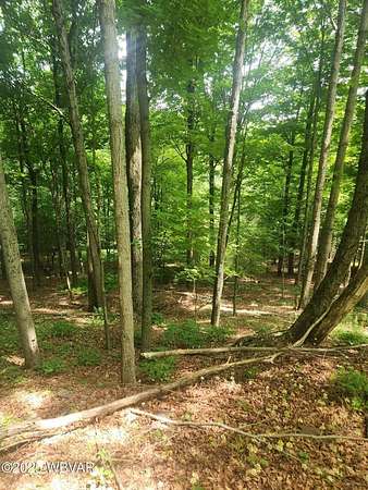 5.12 Acres of Residential Land for Sale in Dushore, Pennsylvania