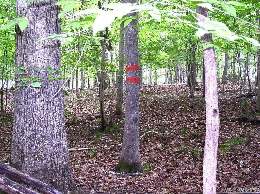 0.64 Acres of Residential Land for Sale in Clarksville, Virginia