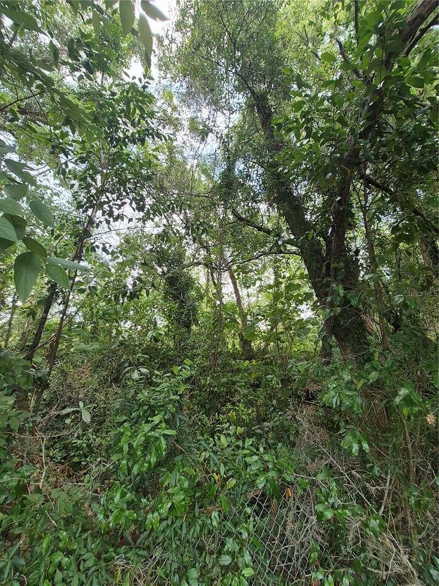 1.3 Acres of Residential Land for Sale in Anthony, Florida