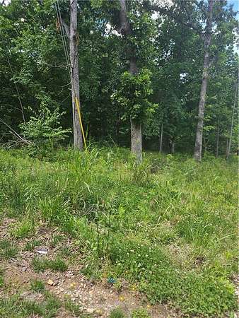 0.45 Acres of Residential Land for Sale in Bella Vista, Arkansas