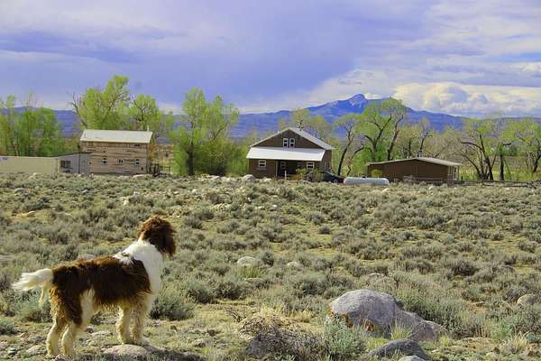 20.2 Acres of Recreational Land with Home for Sale in Clark, Wyoming
