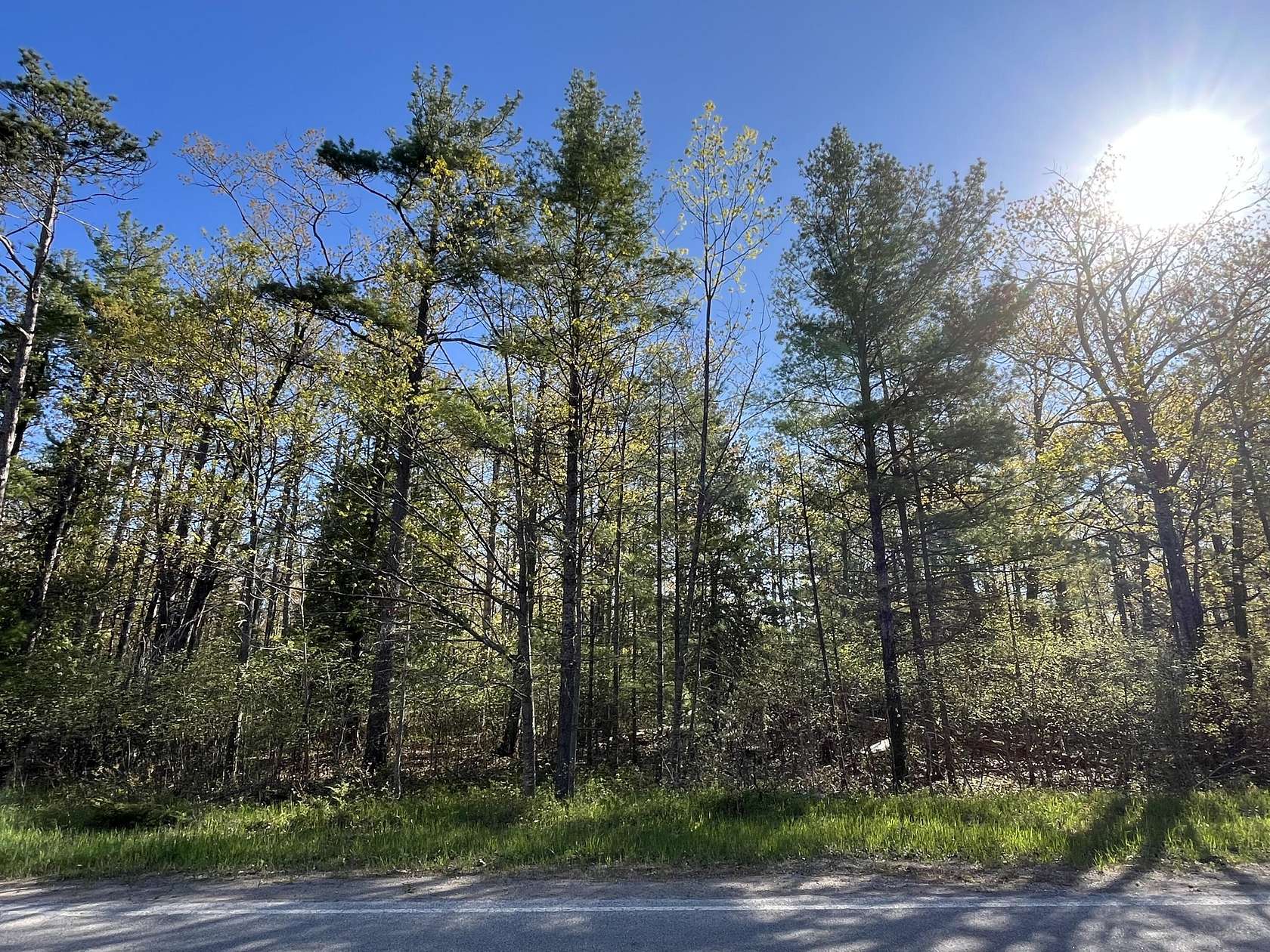0.39 Acres of Residential Land for Sale in Presque Isle, Michigan