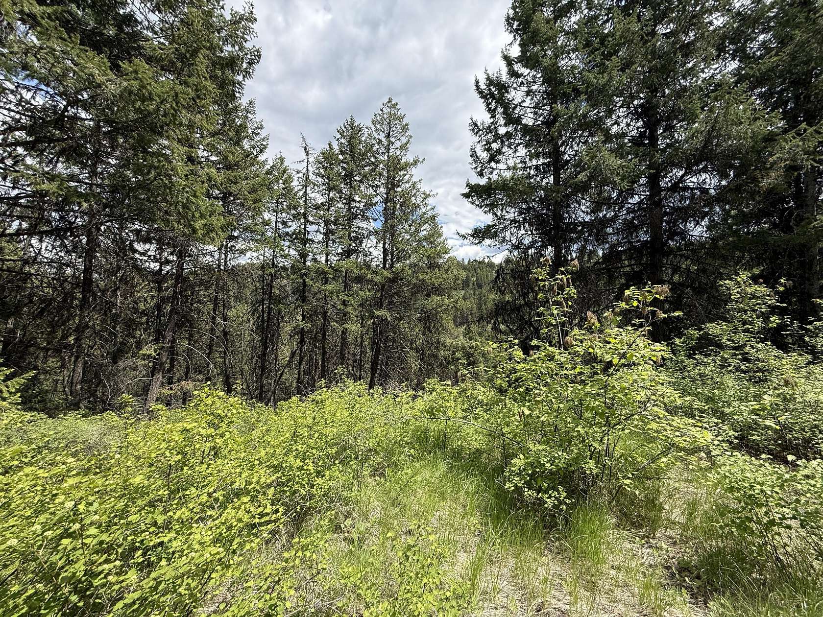 10 Acres of Recreational Land for Sale in Republic, Washington