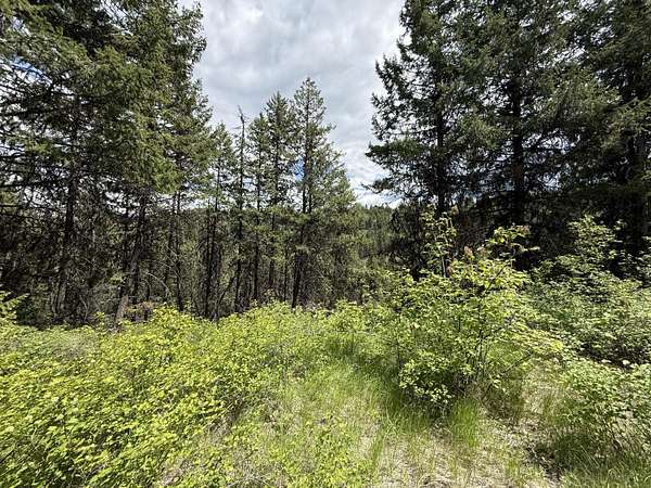 10 Acres of Recreational Land for Sale in Republic, Washington