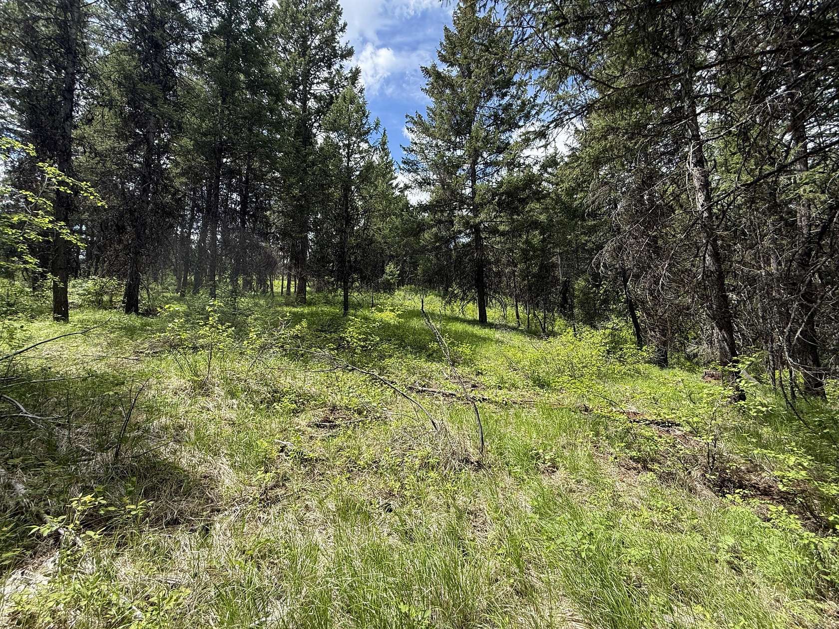 10 Acres of Residential Land for Sale in Republic, Washington