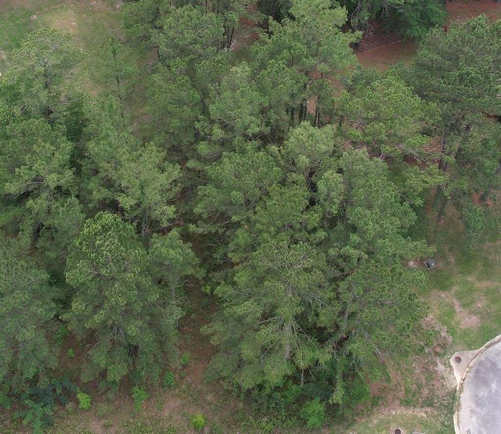 0.78 Acres of Land for Sale in Ochlocknee, Georgia