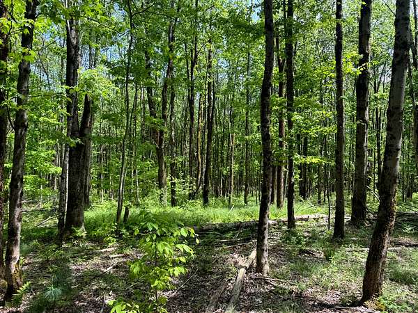 5 Acres of Residential Land for Sale in Vienna, New York