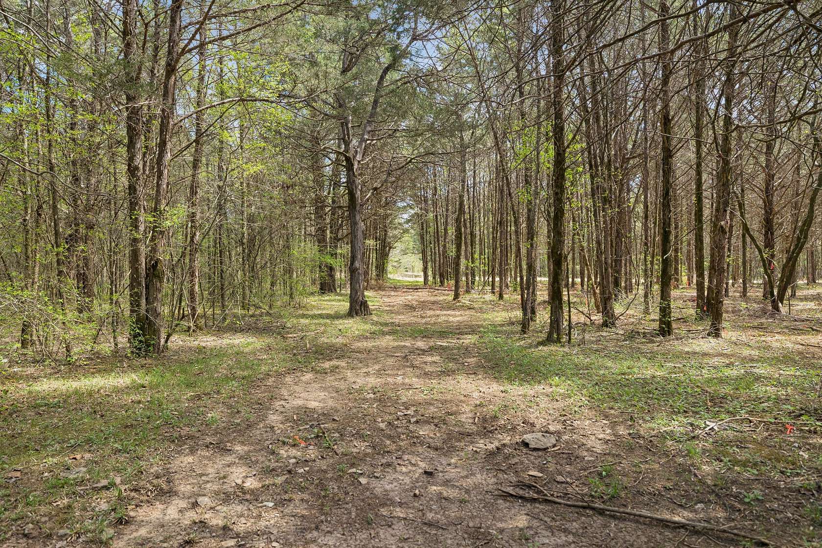11 Acres of Recreational & Residential Land for Sale in Chapel Hill, Tennessee