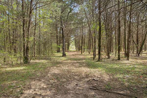 11 Acres of Recreational & Residential Land for Sale in Chapel Hill, Tennessee
