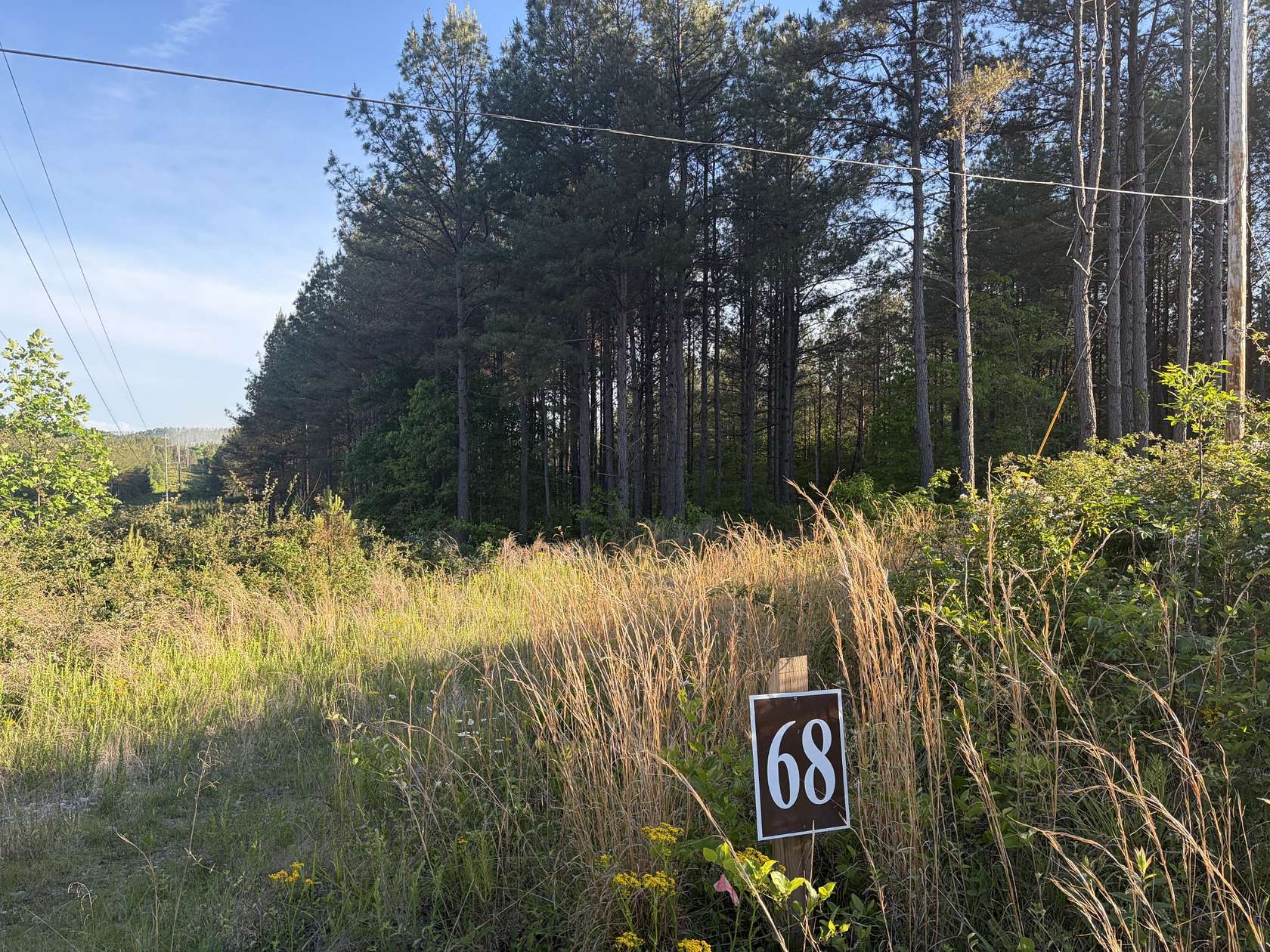 22.5 Acres of Land for Sale in Sunbright, Tennessee