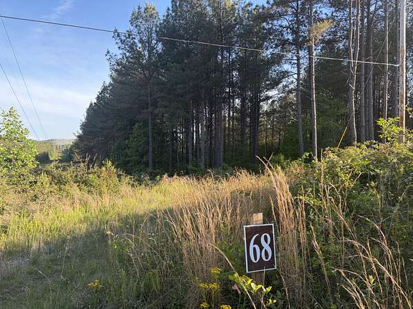 22.5 Acres of Land for Sale in Sunbright, Tennessee