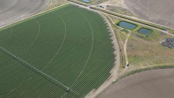 180 Acres of Land for Sale in Pasco, Washington