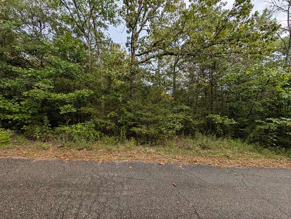0.17 Acres of Residential Land for Sale in Shell Knob, Missouri