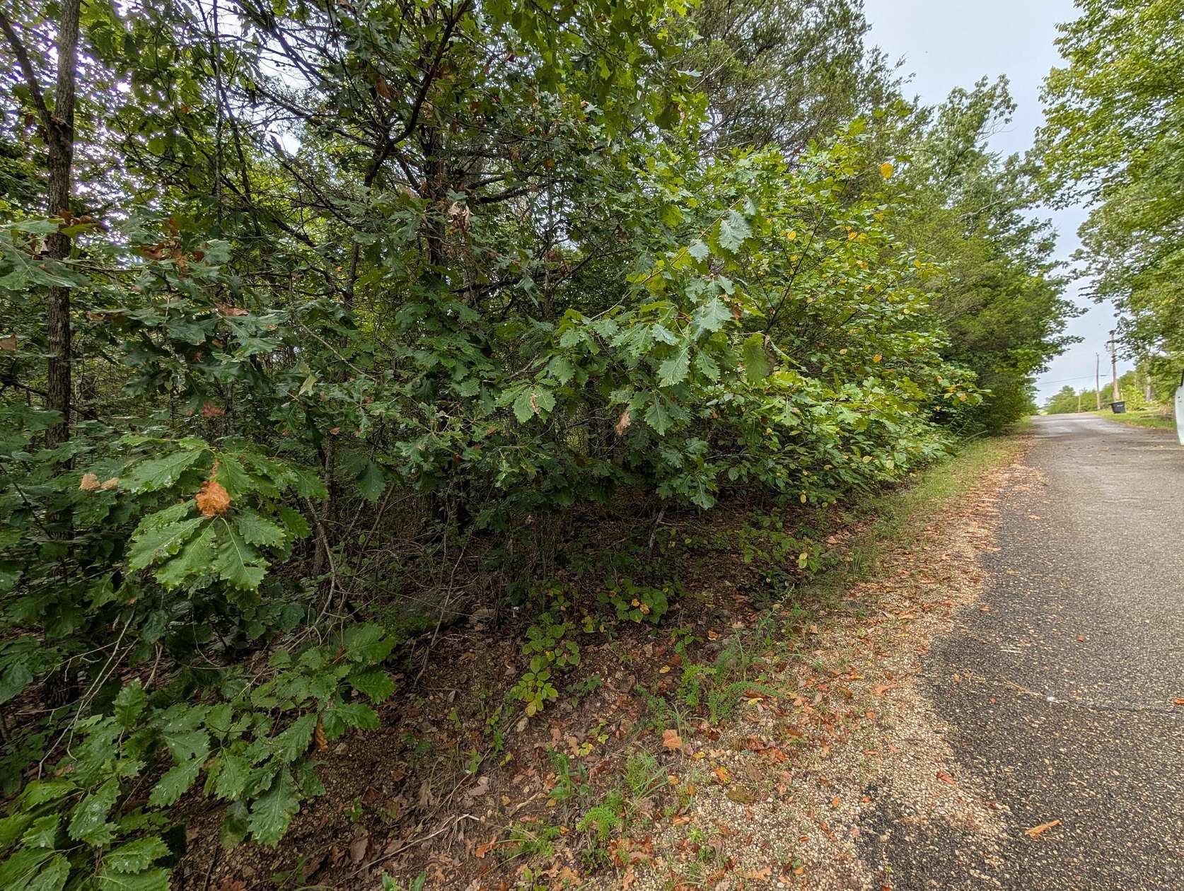 0.17 Acres of Residential Land for Sale in Shell Knob, Missouri