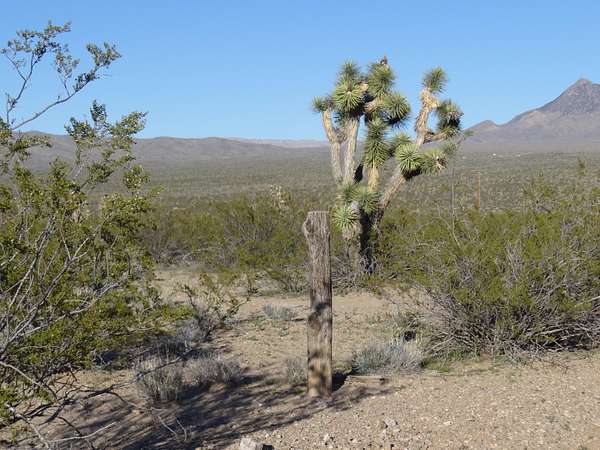 1 Acre of Residential Land for Sale in Meadview, Arizona