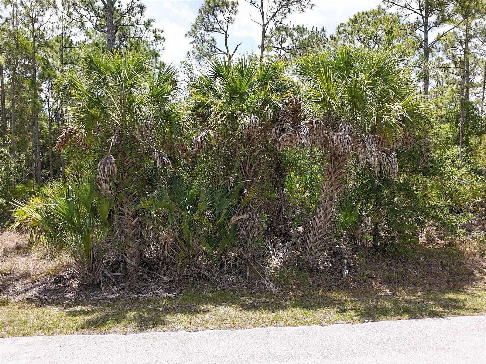 0.16 Acres of Residential Land for Sale in Punta Gorda, Florida
