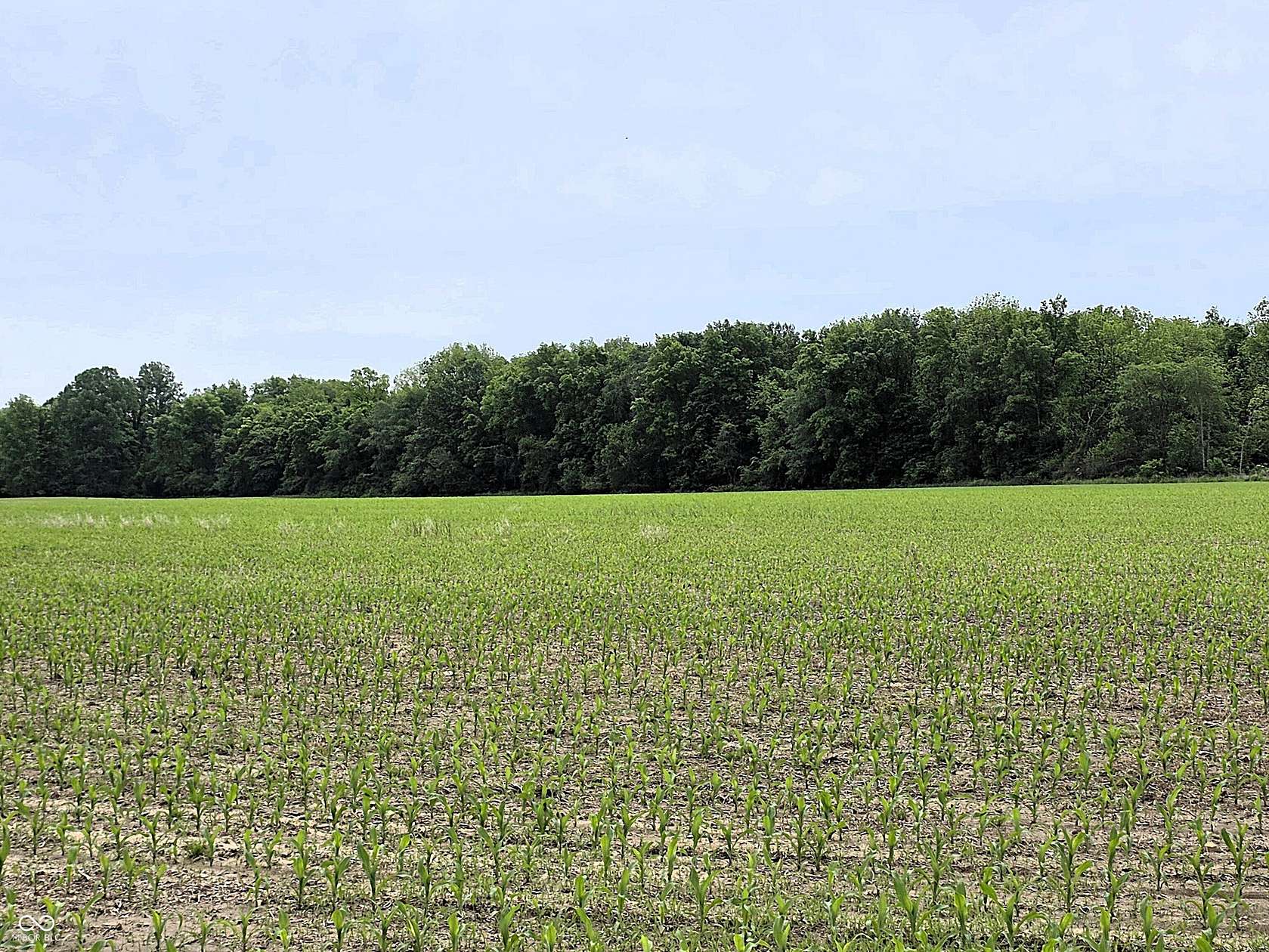 80 Acres of Land for Sale in North Salem, Indiana