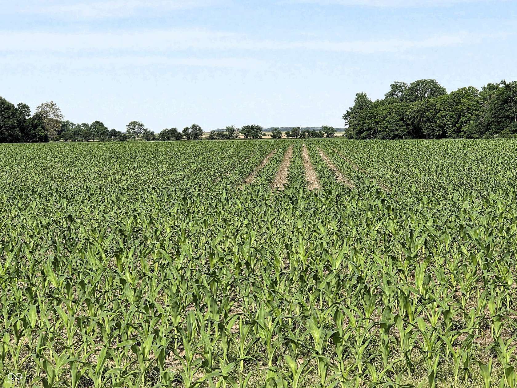 80 Acres of Land for Sale in North Salem, Indiana