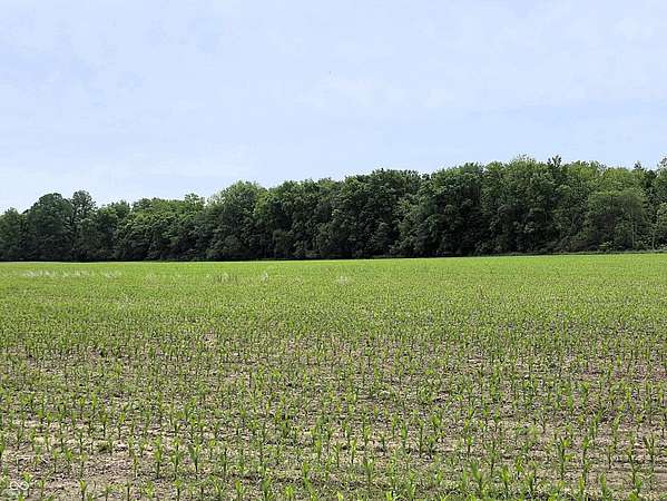 80 Acres of Land for Sale in North Salem, Indiana