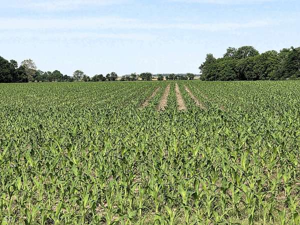 80 Acres of Land for Sale in North Salem, Indiana