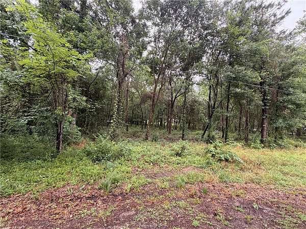 0.24 Acres of Residential Land for Sale in Montgomery, Texas