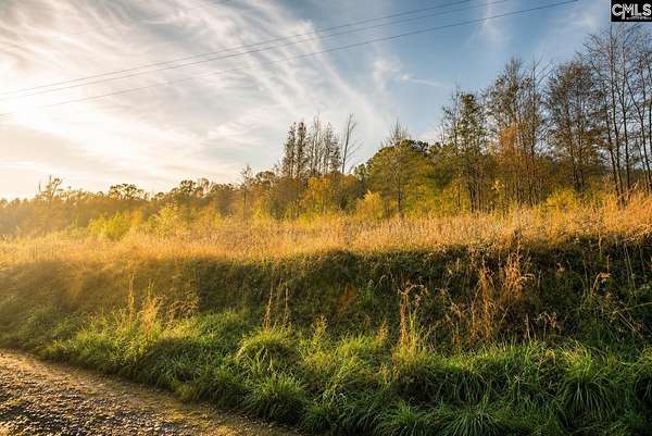 9.85 Acres of Land for Sale in Leesville, South Carolina