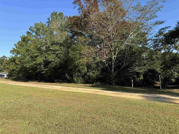 11.7 Acres of Recreational & Residential Land for Sale in Quincy, Florida
