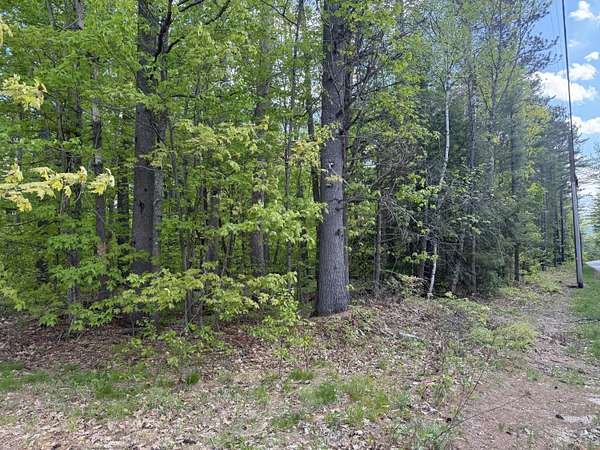 1 Acre of Residential Land for Sale in Bethel, Maine