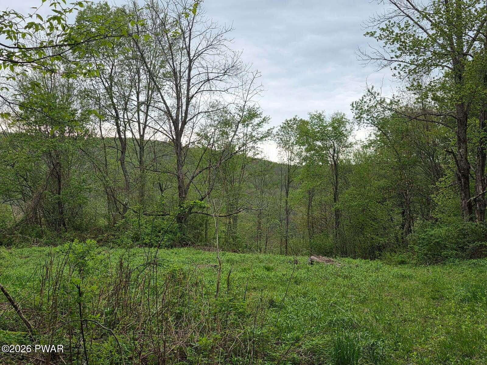 58 Acres of Recreational Land with Home for Sale in Susquehanna, Pennsylvania