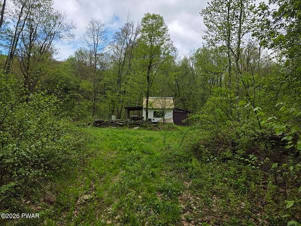 58 Acres of Recreational Land with Home for Sale in Susquehanna, Pennsylvania