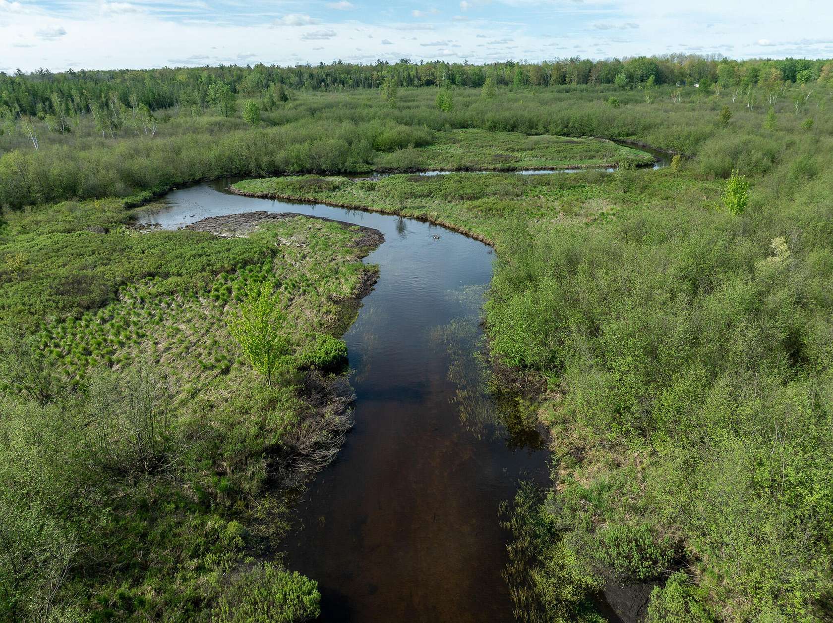 165 Acres of Recreational Land for Sale in Sears, Michigan