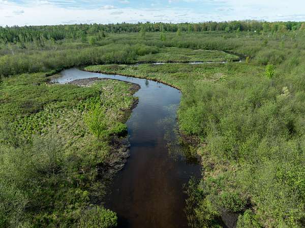 165 Acres of Recreational Land for Sale in Sears, Michigan