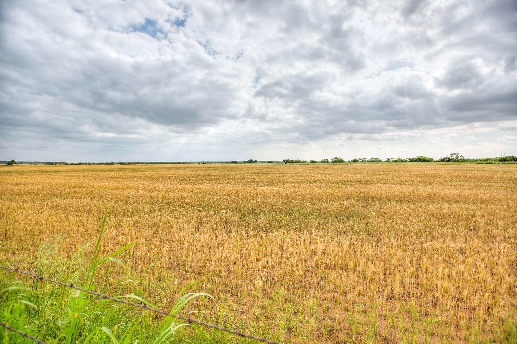 167 Acres of Agricultural Land for Lease in Winters, Texas