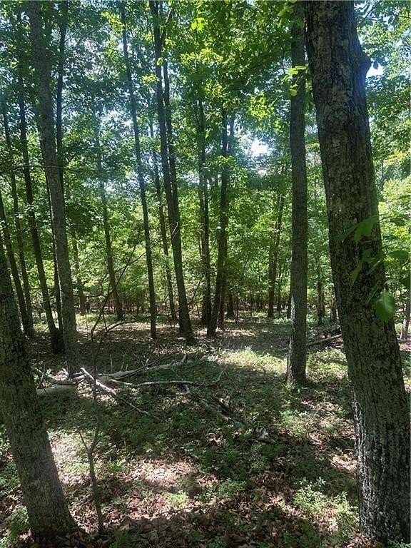 3 Acres of Residential Land for Sale in Jasper, Georgia