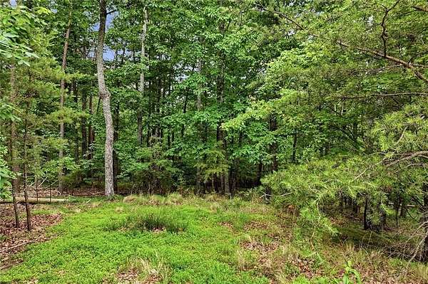 3 Acres of Residential Land for Sale in Jasper, Georgia