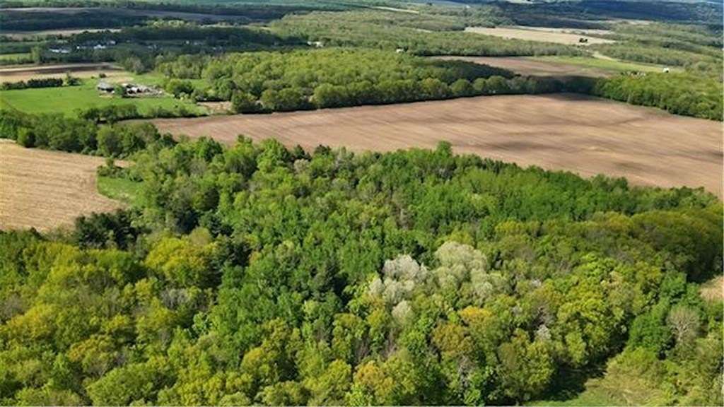 30.2 Acres of Land for Sale in Shafer Township, Minnesota