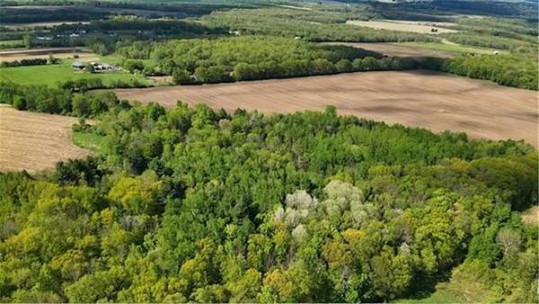 30.2 Acres of Land for Sale in Shafer Township, Minnesota