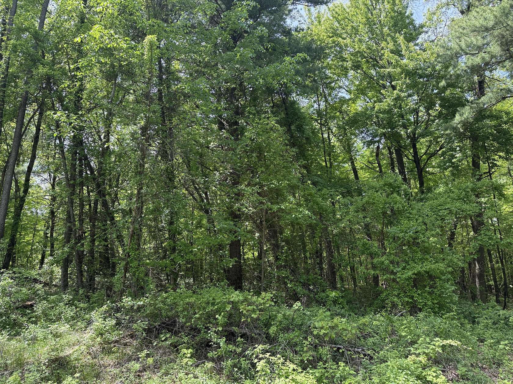 5.44 Acres of Residential Land for Sale in Ada, Michigan