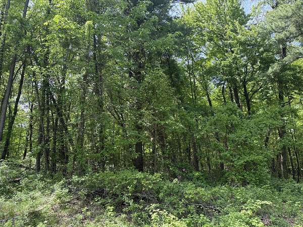5.44 Acres of Residential Land for Sale in Ada, Michigan