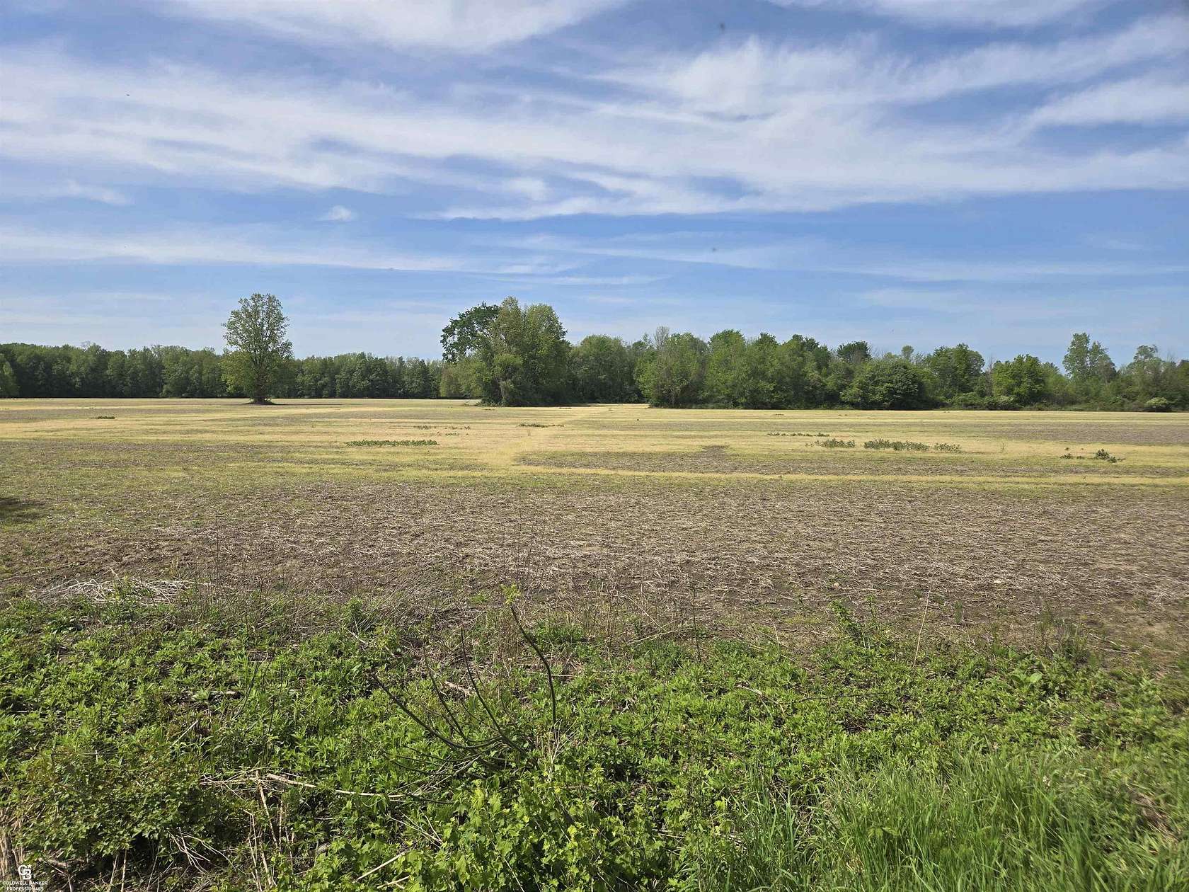 6 Acres of Residential Land for Sale in Avoca, Michigan