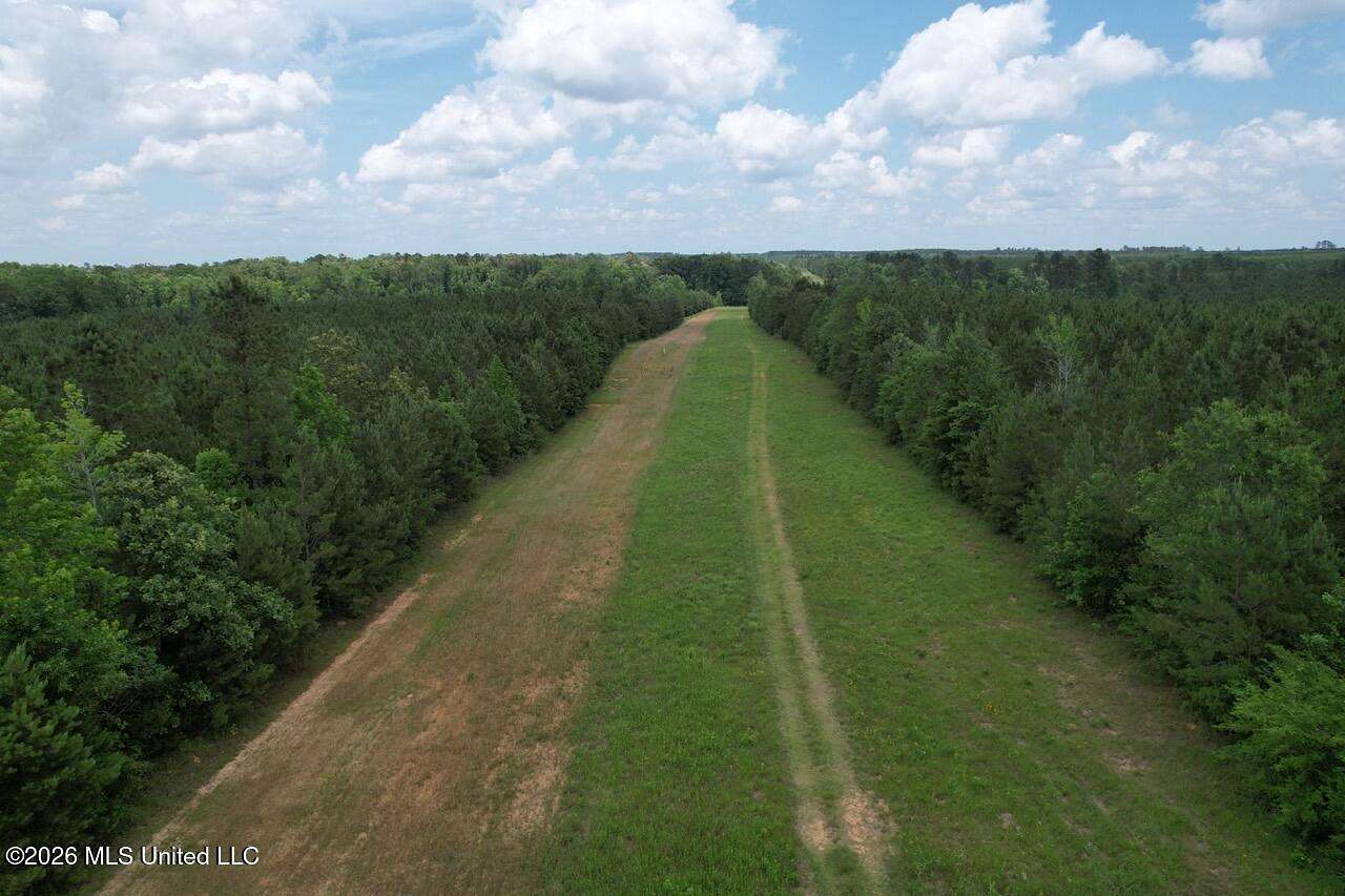 56 Acres of Land for Sale in Greensburg, Louisiana