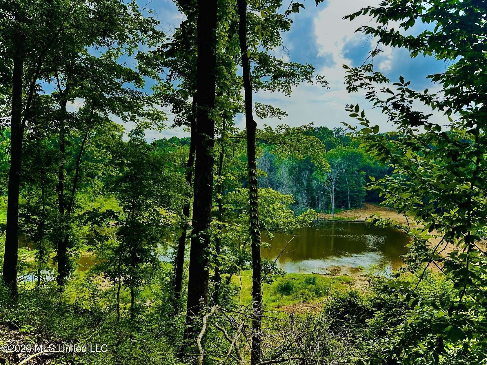 314 Acres of Recreational Land for Sale in Bentonia, Mississippi