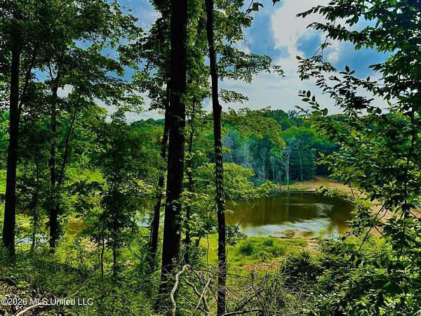 314 Acres of Recreational Land for Sale in Bentonia, Mississippi